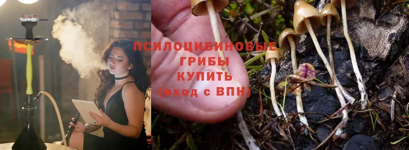 Псилоцибиновые грибы MAGIC MUSHROOMS  Бирюсинск 