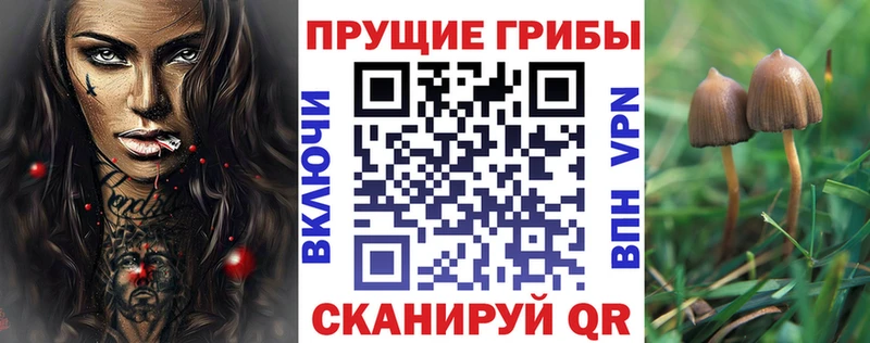 Псилоцибиновые грибы ЛСД Бирюсинск